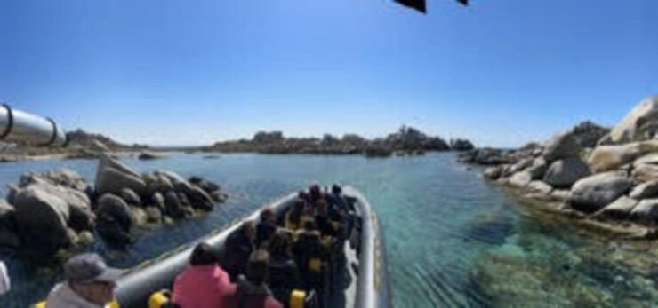 From Porto-Vecchio: Lavezzi Archipelago Sightseeing Cruise - Activity Details
