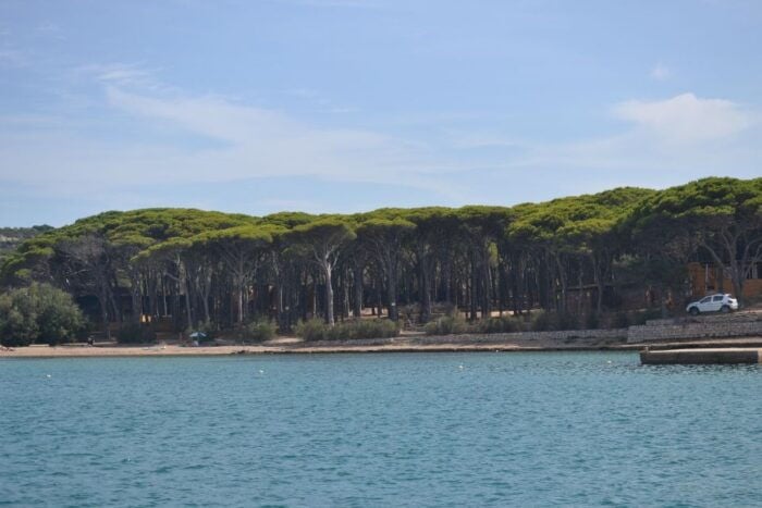 From Porto Vecchio: Maddalena Archipelago Boat Tour - Frequently Asked Questions