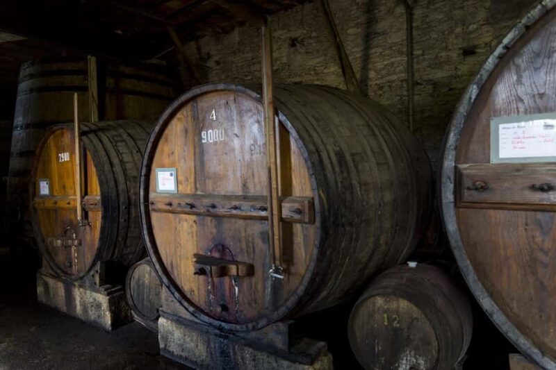 From Porto: Wine Tasting with Lunch at a Farm and Cruise - Exploring the Douro Valley from Porto