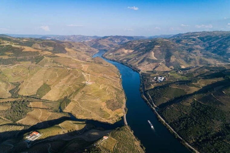 From Porto: Wine Tasting with Lunch at a Quinta, Cruise, and Train Ride - Deep Dive into the Experience