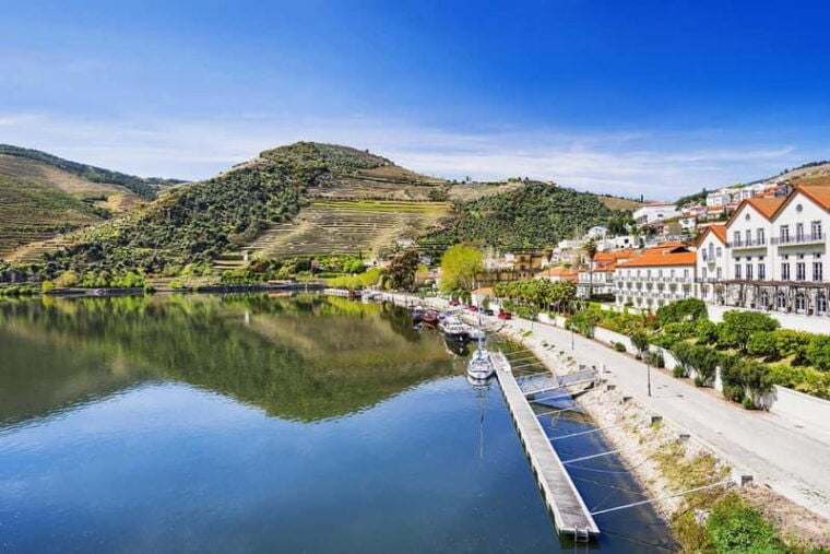 From Porto: Wine Tasting with Lunch at a Quinta, Cruise, and Train Ride - Is It Worth the Price?