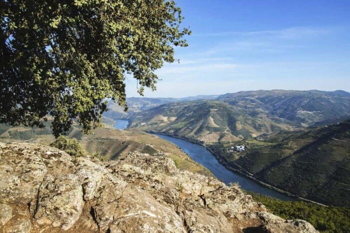 From Porto: Wine Tasting with Lunch at a Quinta, Cruise, and Train Ride - FAQ