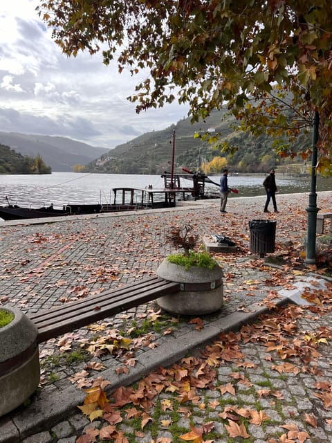 From Porto:Douro Valley Private Tour With Wine,Lunch, Cruise - Good To Know