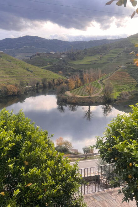 From Porto:Douro Valley Private Tour With Wine,Lunch, Cruise - Wine and Culinary Experiences