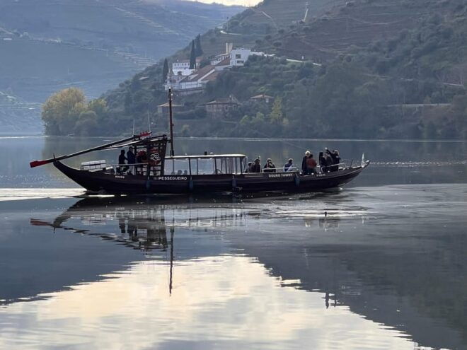 From Porto:Douro Valley Private Tour With Wine,Lunch, Cruise - Transportation and Accessibility