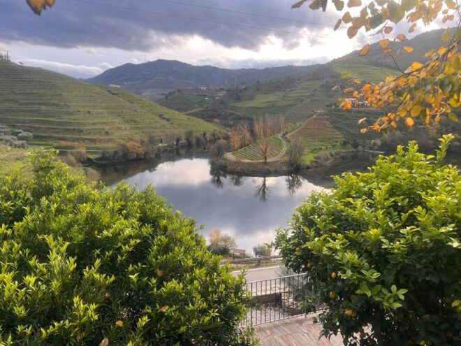 From Porto:Douro Valley Private Tour With Wine,Lunch, Cruise - Pickup Location