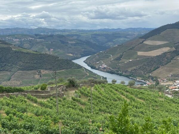From Porto:Douro Valley Private Tour With Wine,Lunch, Cruise - Frequently Asked Questions