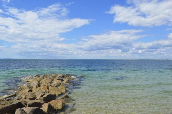 From Portsmouth: Isle of Wight Day Tour by Bus and Ferry - The Sum Up
