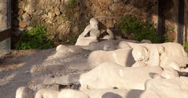 From Positano: Pompeii Ruins Guided Tour - Good To Know