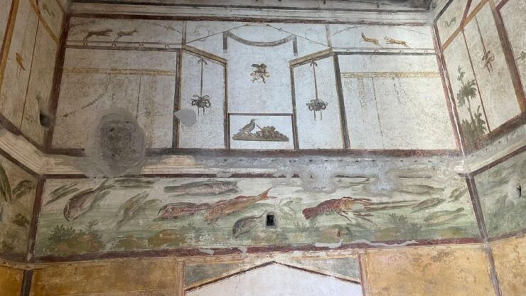 From Positano: Pompeii & Vesuvius Tour Small Group - Booking Information