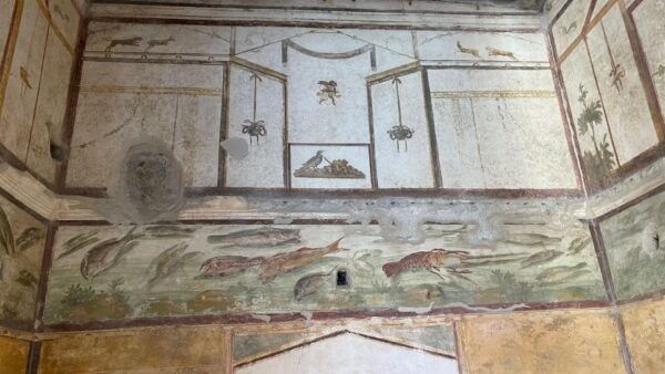 From Positano: Pompeii & Vesuvius Tour Small Group - Frequently Asked Questions