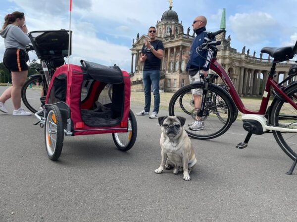 From Potsdam: E-Bike Tour Into the Vineyards - What to Bring