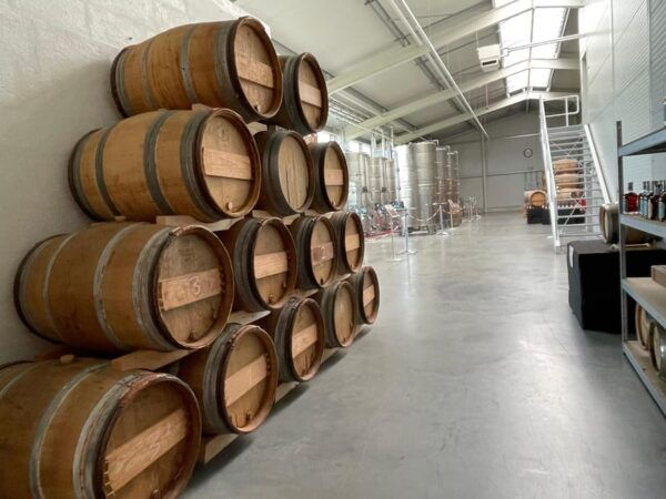 From Potsdam: E-Bike Tour Into the Vineyards - Private Bookings Options