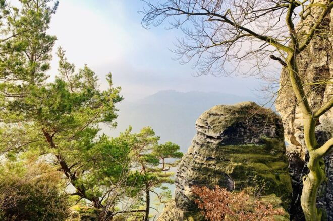 From Prague: Bohemian and Saxon Switzerland Full-Day Tour - Customer Reviews