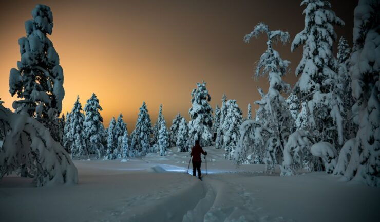 From Prague: Guided Snowshoe Tour With Mountain Views - Activity Details