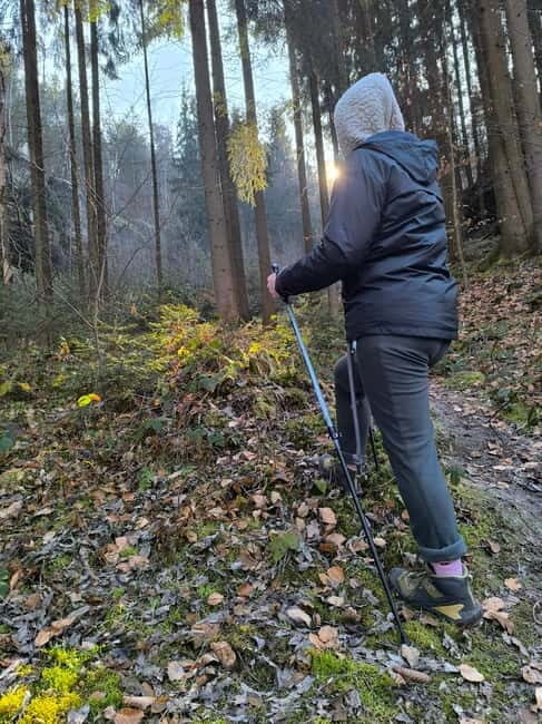 From Prague: Hiking Tour of the Beauties of Kokoín - Pokliky and Ladin Spring