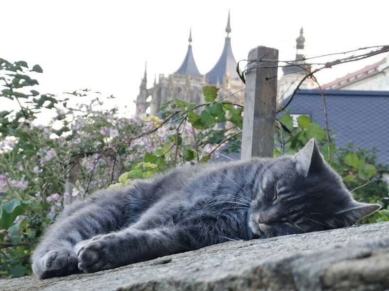 From Prague: Kutná Hora, Bone Church & Folk Museum Tour - An Authentic Day Trip from Prague to Kutná Hora and the Folk Museum