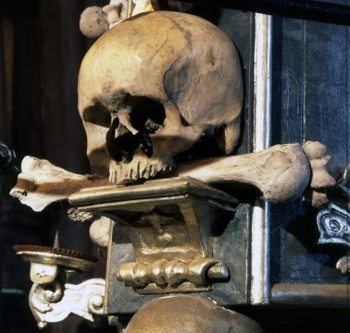 From Prague: Kutna Hora Walking Tour & St. Barbara Cathedral - What Reviewers Say