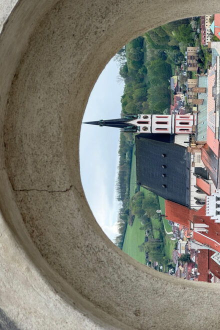 From Prague: Premium Amazing Day Trip to Český Krumlov - Customer Reviews and Feedback