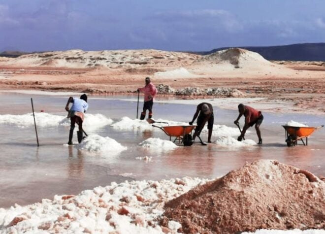 From Praia: Full-Day Sal Island Tour - Important Information