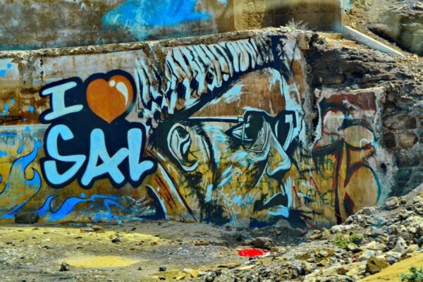 From Praia: Full-Day Sal Island Tour - Frequently Asked Questions
