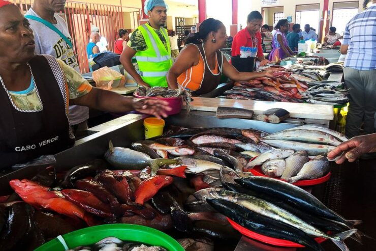 From Praia: Full-Day São Vicente Island Tour - Highlights