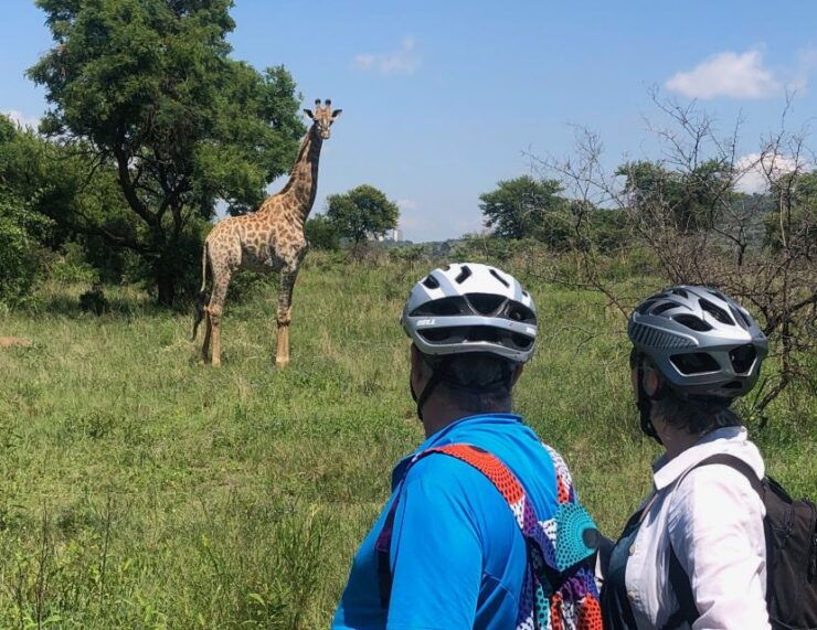 From Pretoria: E-Bike in the Wild With Game Near Joburg - Activity Details
