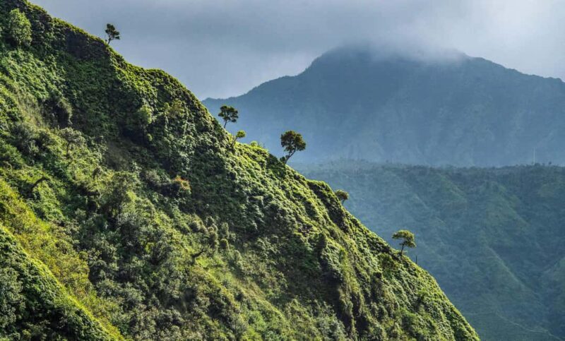 From Princeville: Discover Kauai Helicopter Tour - Good To Know