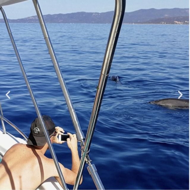 From Propriano: Private Boat Tour With Skipper - Free Cancellation and Flexible Payment