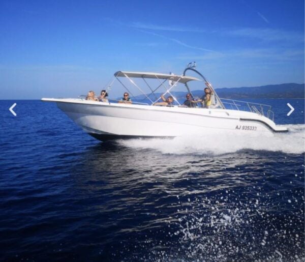 From Propriano: Private Boat Tour With Skipper - Common Questions