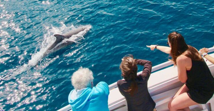 From Propriano: Underwater Vision Boat Tour to Sanguinaires - Tour Overview