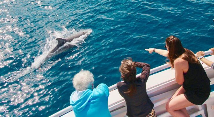 From Propriano: Underwater Vision Boat Tour to Sanguinaires - Activity Inclusions