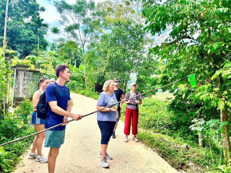 From Pu Luong: Half-Day Trekking Nature & Cultural Discovery - Introduction to the Pu Luong Trekking Experience