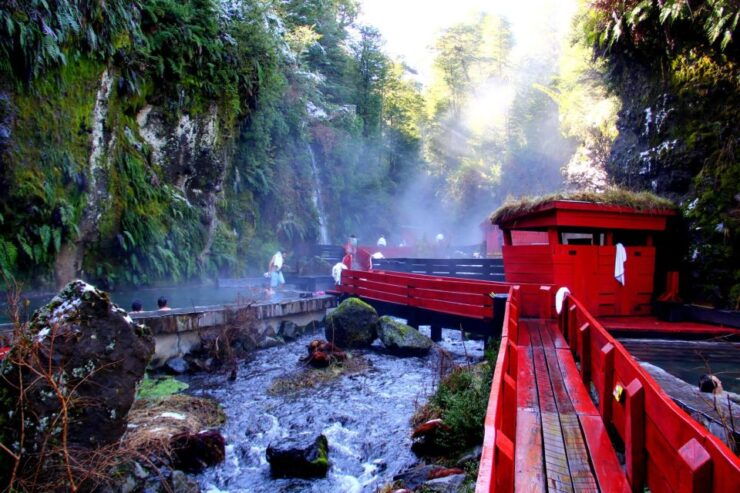 From Pucón: Geometric Hot Springs - Booking Details