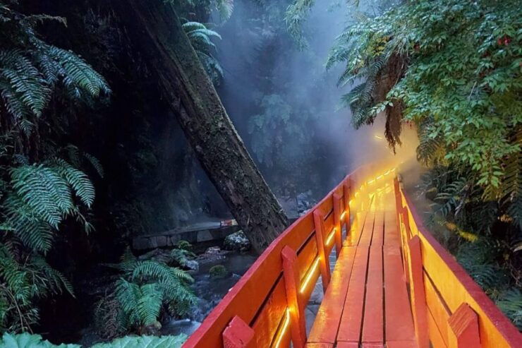 From Pucón: Geometric Hot Springs - Travel Itinerary