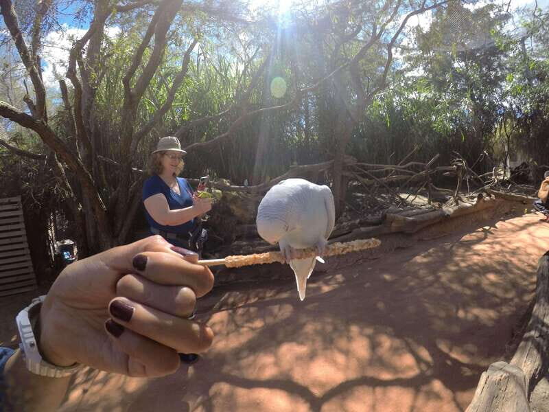 From Puebla: Africam Safari Private Tour all included - Who Should Consider This Tour?