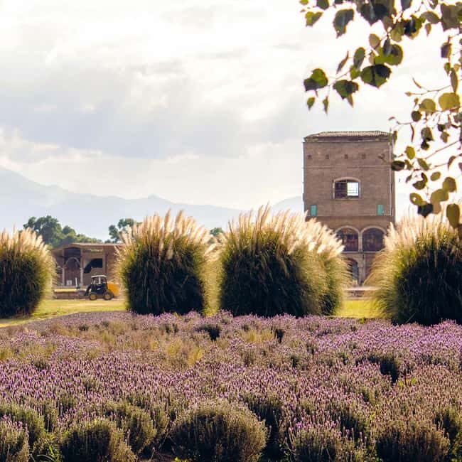 From Puebla: CHAUTLA AND VAL'QUIRICO PRIVATE TOUR - Who Should Consider This Tour?