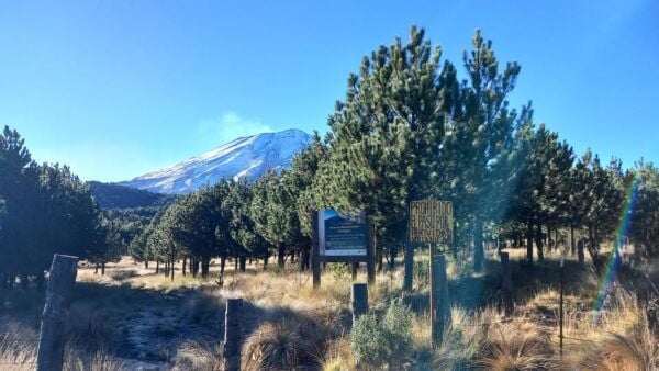 From Puebla: Iztaccihuatl Hike Full-Day Trip | Level 2 - Customer Feedback