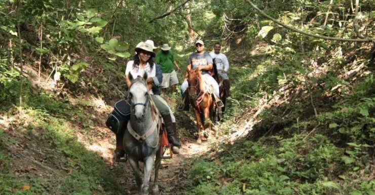 From Puerta Vallarta: Jungle Horseback Riding Tour - Experience Highlights