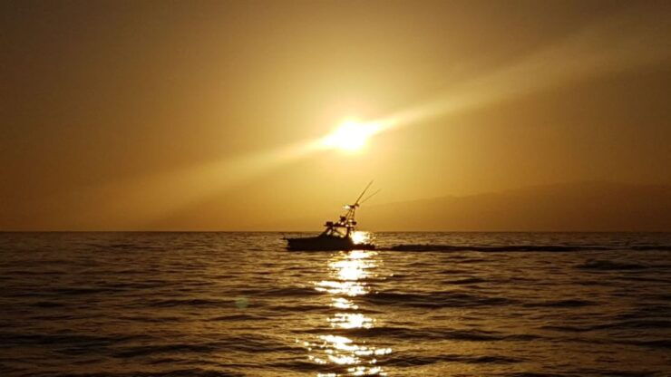 From Puerto Colón: Private Fishing Boat Charter With Lunch - Booking and Cancellation Policy