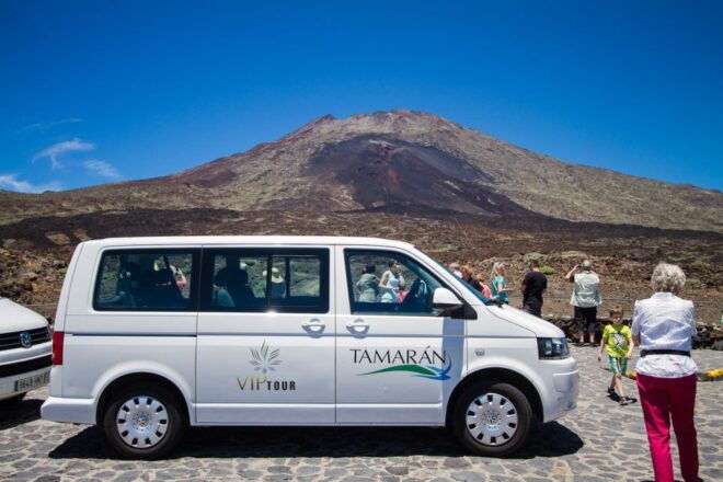 From Puerto De La Cruz: Teide and Masca VIP Tour - Customer Reviews