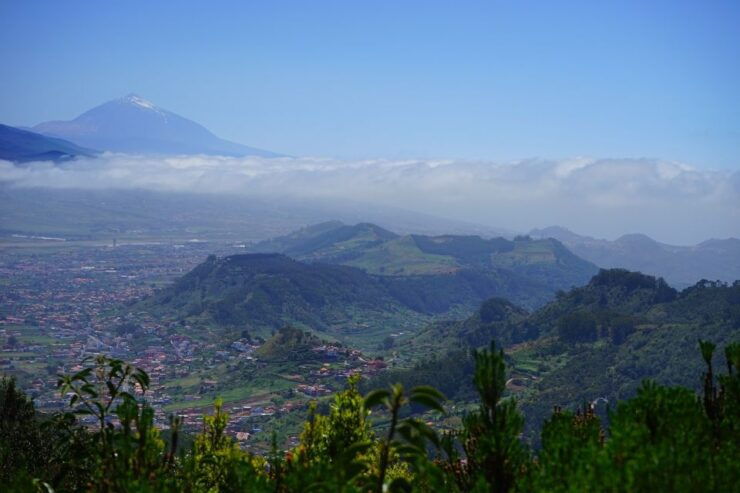 From Puerto De La Cruz: VIP Tour Around Anaga and La Laguna - Accessibility Information
