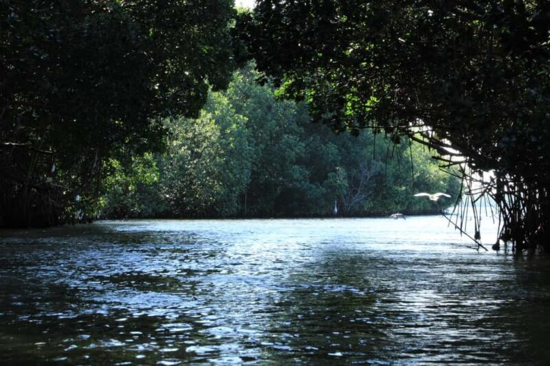 From Puerto Escondido: Day Trip to Chacahua National Park - Authentic Encounters and Highlights According to Reviews