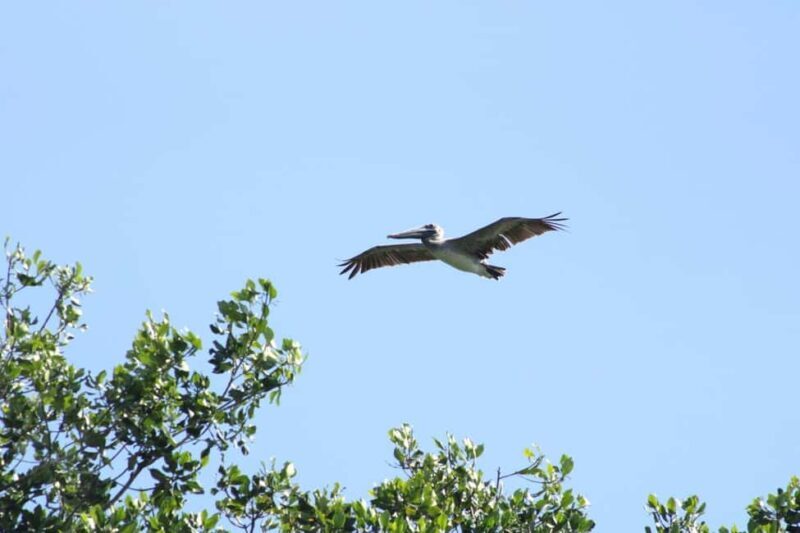 From Puerto Escondido: Day Trip to Chacahua National Park - Why This Tour Is a Great Choice