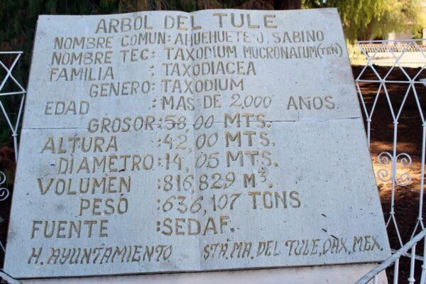 From Puerto Escondido: Gataway to Oaxaca in One Day. - Tasting Oaxacan Flavors