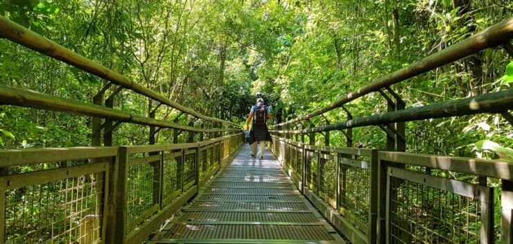 From Puerto Iguazu: Argentinian Iguazu Falls With Boat Ride - Booking Information