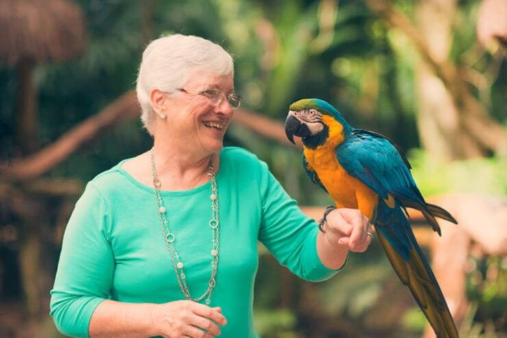 From Puerto Iguazú: Brazilian Bird Park Tour With Tickets - Good To Know