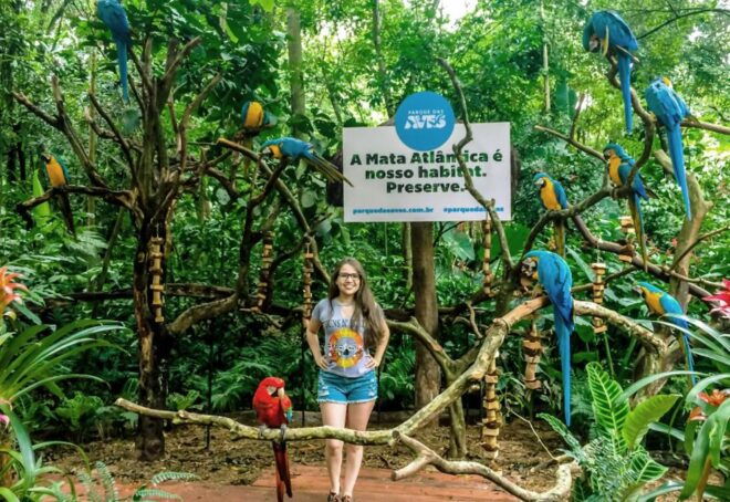 From Puerto Iguazú: Brazilian Bird Park Tour With Tickets - Experience Highlights at the Bird Park