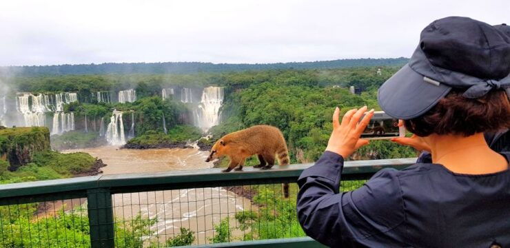 From Puerto Iguazu: Brazilian Side of the Falls With Ticket - Booking Details
