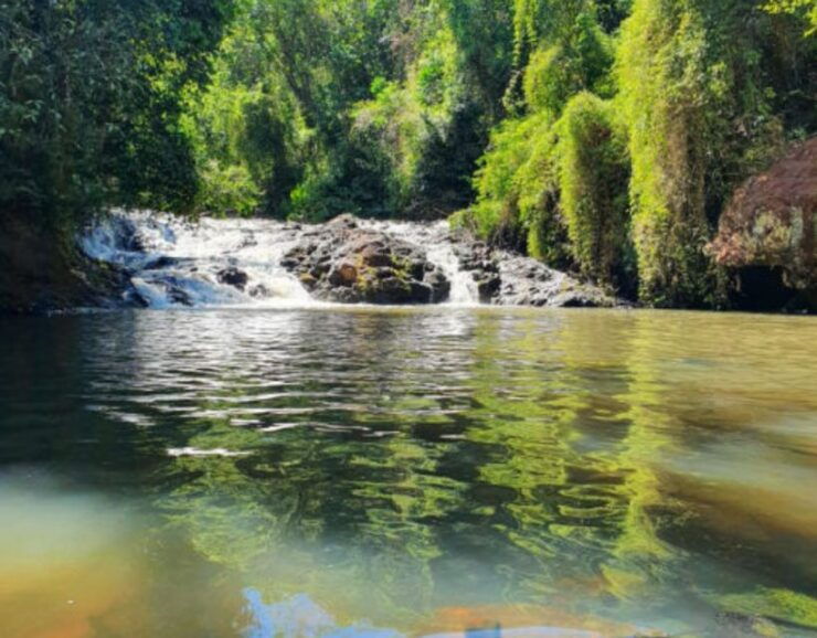 From Puerto Iguazu: Secret Falls Adventure - Experience Highlights